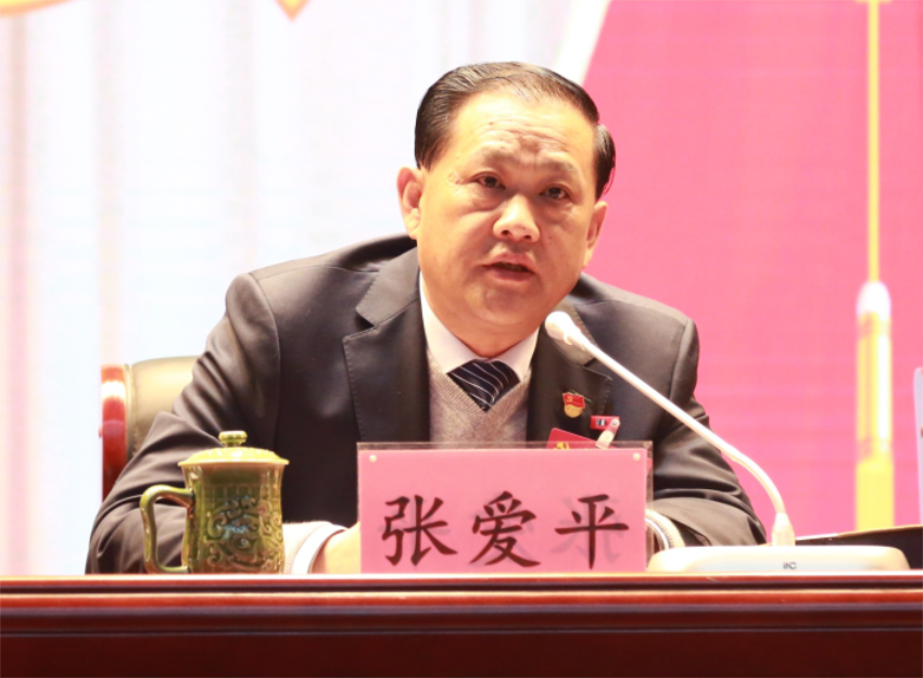 张爱平同志宣读中共乐鱼在线注册_乐鱼（中国）第一届党委成员分工及纪委成员分工