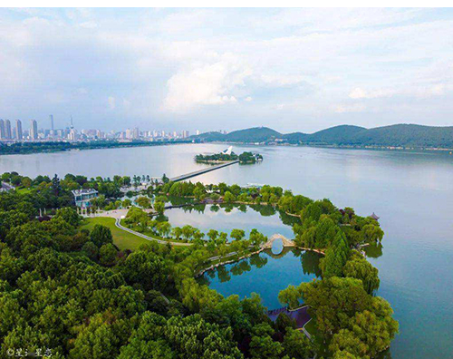 乐鱼在线注册_乐鱼（中国）